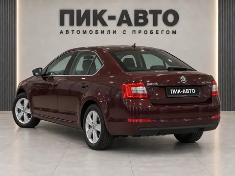 Skoda Octavia 2013, вид сзади