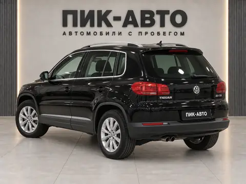 Volkswagen Tiguan 2013, вид сзади