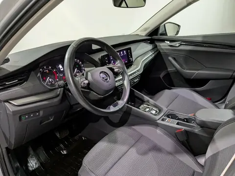 Skoda Octavia 2024, фото 5