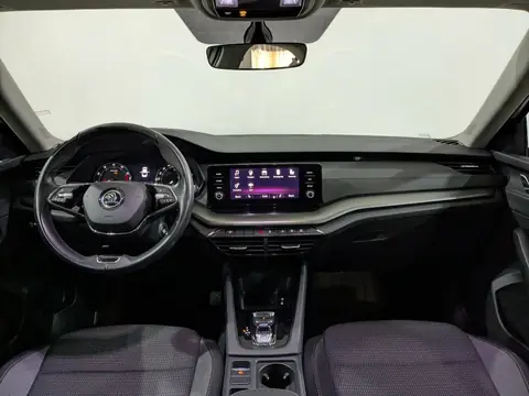Skoda Octavia 2024, фото 6