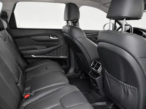 Hyundai Santa Fe 2020, фото 6