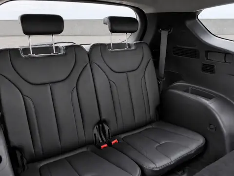 Hyundai Santa Fe 2020, фото 7